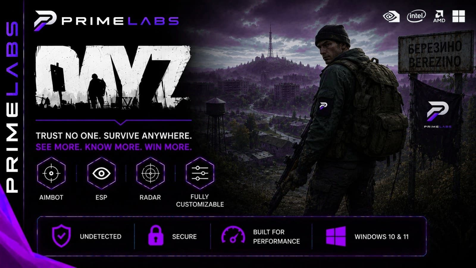 DayZ